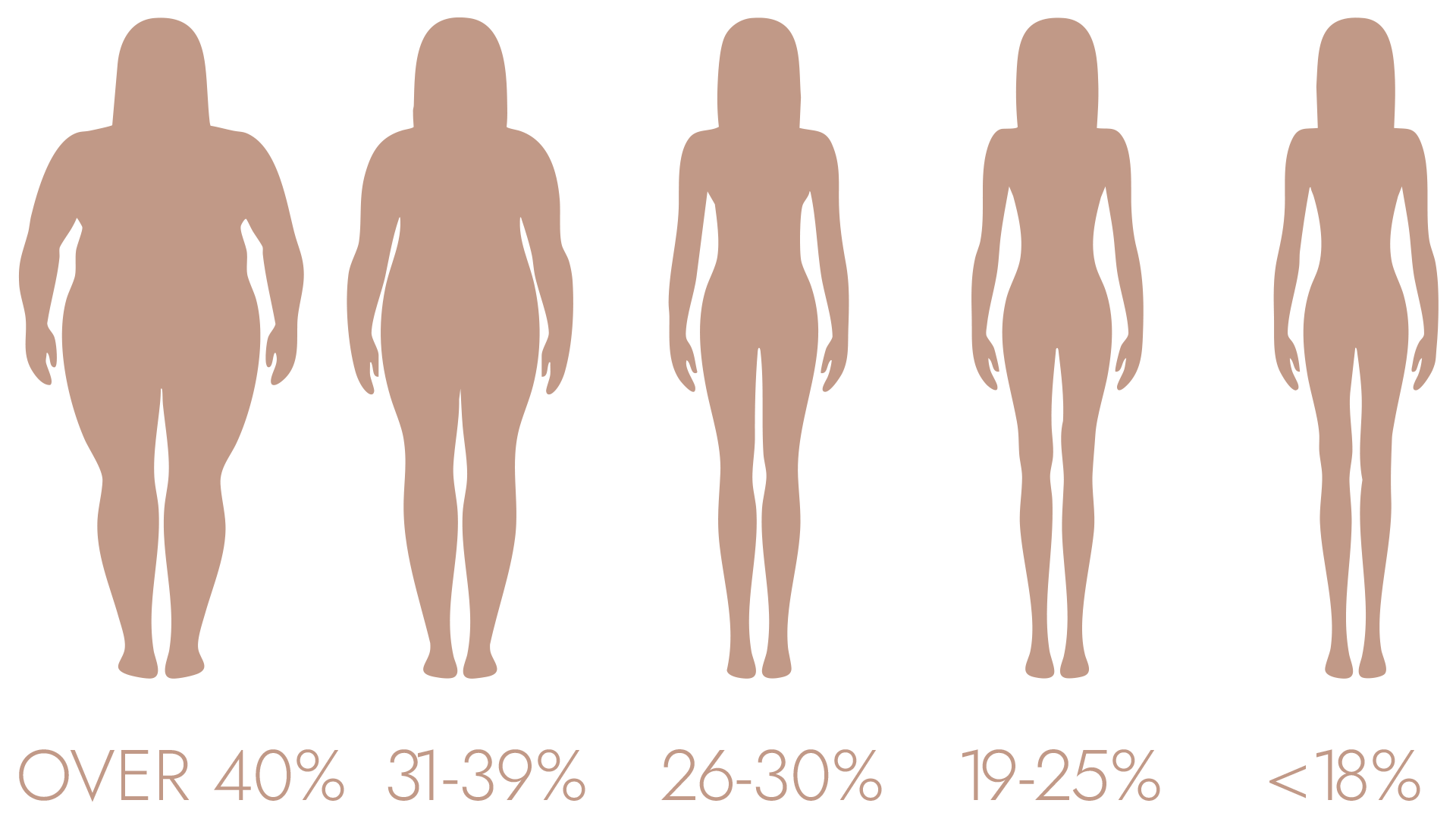 woman body infographic